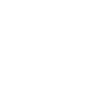 The Snow Institute