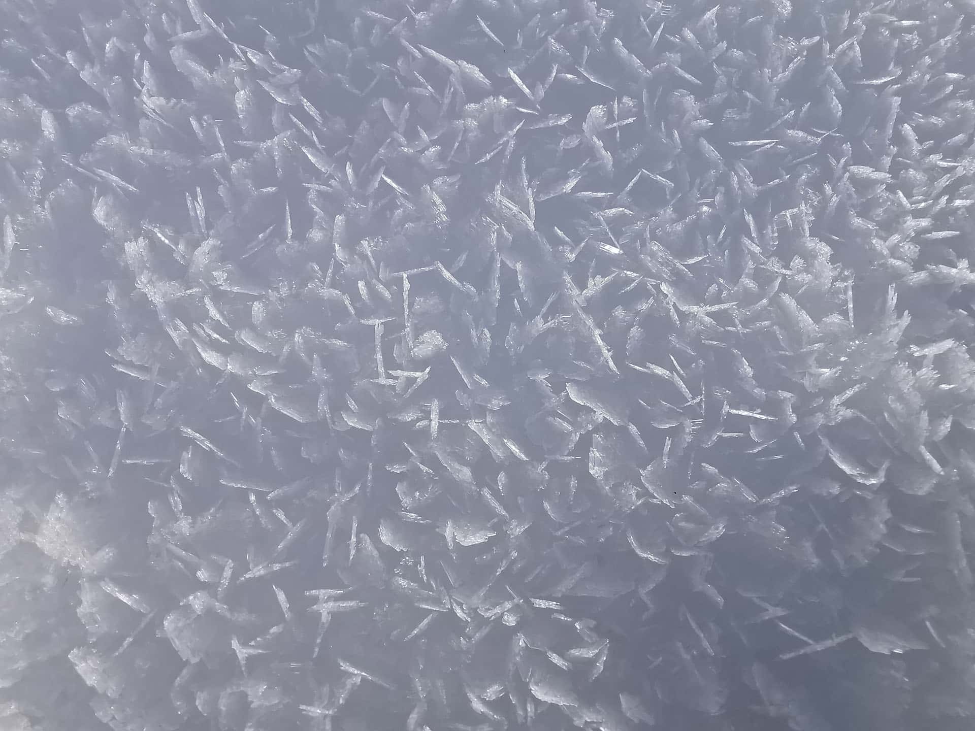 Snow Crystals formed by a me freeze