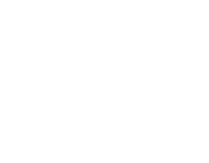 The Snow Institute Logo in white